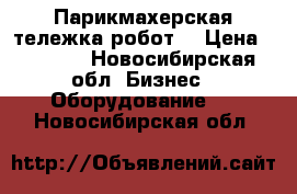 Парикмахерская тележка робот. › Цена ­ 4 000 - Новосибирская обл. Бизнес » Оборудование   . Новосибирская обл.